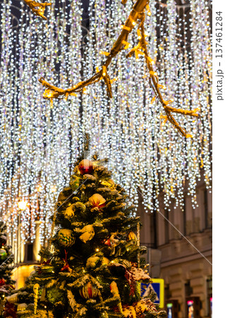 decorated christmas tree and outdoor garlands 137461284