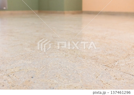 surface of freshly laid pale cork flooring in room 137461296