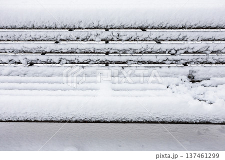 snow-covered seat of wooden bench in city garden 137461299