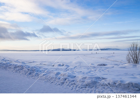 surface of frozen sea shore at cold winter day surface of frozen sea shore at cold winter day 137461344