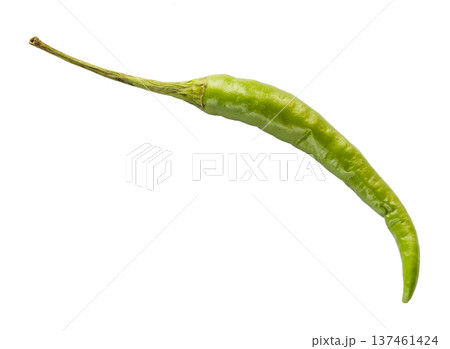natural fresh green Bird's eye pepper isolated natural fresh green Bird's eye pepper isolated 137461424