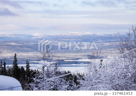 above view of Kandalaksha bay near town in winter above view of Kandalaksha bay near town in winter 137461453