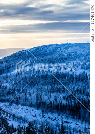 snow-covered overgrown hill in winter dusk snow-covered overgrown hill in winter dusk 137461470