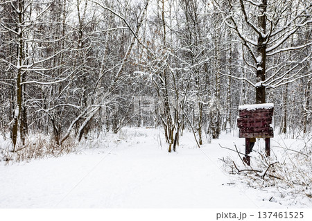 wooden notice board near snow-covered way in park wooden notice board near snow-covered way in park 137461525