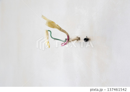 Insulated wires closeup in plastered wall Insulated wires closeup in plastered wall 137461542