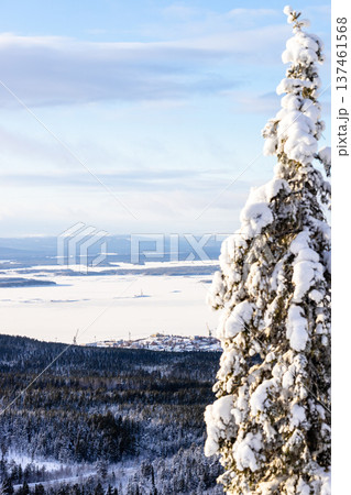 above view of Kandalaksha town with port from hill above view of Kandalaksha town with port from hill 137461568