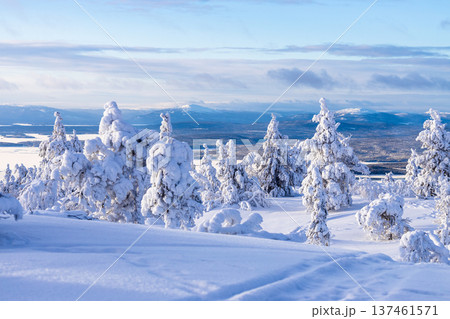 path on snowy mount near Kandalaksha town, winter path on snowy mount near Kandalaksha town, winter 137461571