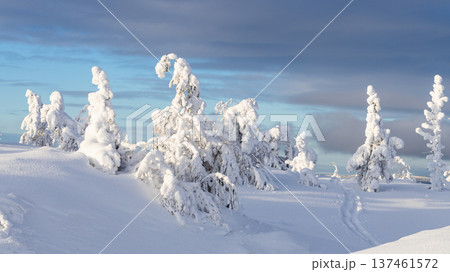 snow-covered slopes on hill near Kandalaksha town 137461572