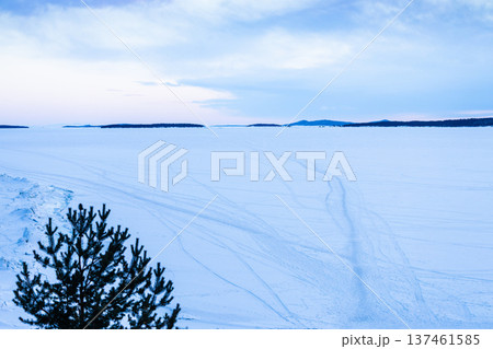 pathes of frozen Kandalaksha Bay in winter dusk 137461585