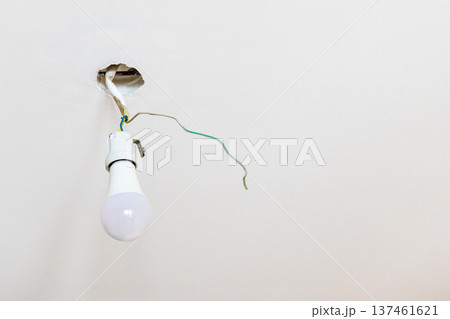 light bulb in electrical socket hangs on ceiling light bulb in electrical socket hangs on ceiling 137461621