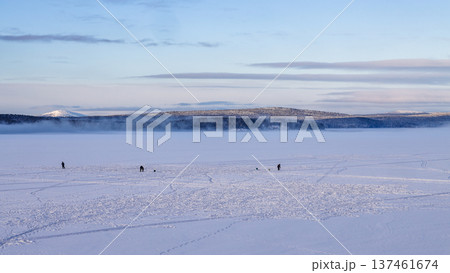 panoramic view of frozen sea coast in winter day panoramic view of frozen sea coast in winter day 137461674