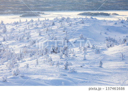 aerial view of snowy slope near Kandalaksha bay aerial view of snowy slope near Kandalaksha bay 137461686