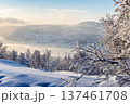 frozen grove and Kola Bay in Murmansk in winter 137461708