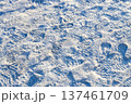 sunlit snowy ground with winter boot prints 137461709