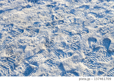 sunlit snowy ground with winter boot prints 137461709