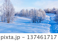 panoramic view of snowy Zelenaya hill in Murmansk 137461717