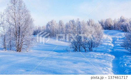 panoramic view of snowy Zelenaya hill in Murmansk 137461717