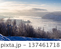 bare trees and view of seaport in Murmansk cty 137461718