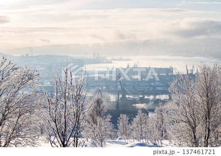 above view of tree and seaport in Murmansk cty 137461721