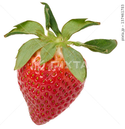 Ripe red strawberry berry with green sepals and leaves on an isolated background Ripe red strawberry berry with green sepals and leaves on an isolated background 137461783