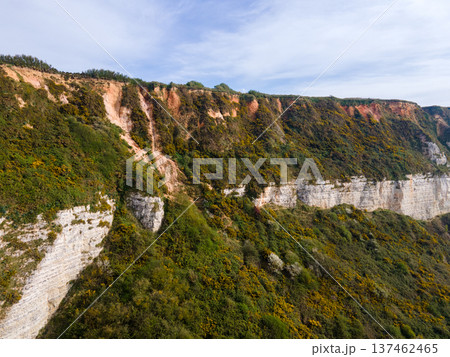 Aerial View of Saint Jouin Bruneval Beach with Waves and Cliffs Aerial View of Saint Jouin Bruneval Beach with Waves and Cliffs 137462465