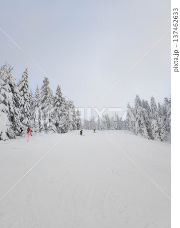 Wide snowy ski slope in Kopaonik 137462633
