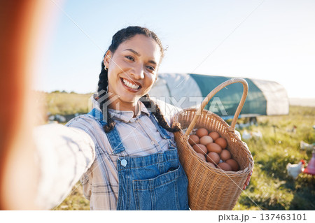Farm, harvest and woman in selfie with basket, eggs and working with chicken, product and sustainability in agriculture business. Female farmer and field in countryside, spring farming and egg photo Farm, harvest and woman in selfie with basket, eggs and working with chicken, product and sustainability in agriculture business. Female farmer and field in countryside, spring farming and egg photo 137463101