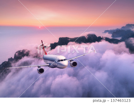 Commercial airplane flying over high mountains, sea and pink clouds 137463123