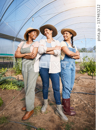Farming, group of women in greenhouse with confidence at sustainable small business and agriculture. Happy farmer team at vegetable farm, agro pride and diversity with eco friendly organic plants. 137463212