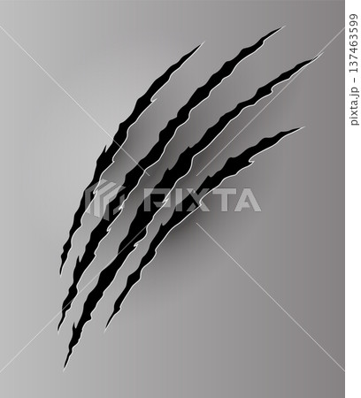 Bear or tiger claw mark. Scratches and torn traces of vector animal paw slashes. Hole in sheet of paper with torn edges. Vector illustration 137463599