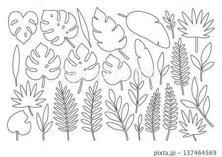 Outline assorted tropical leaves. Detailed drawings for botanical coloring books, patterns, and creative vector design projects Outline assorted tropical leaves. Detailed drawings for botanical coloring books, patterns, and creative vector design projects 137464569