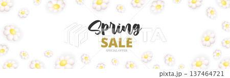 Spring Sale banner with white daisy flowers. 3D realistic floral seasonal promotion design Spring Sale banner with white daisy flowers. 3D realistic floral seasonal promotion design 137464721