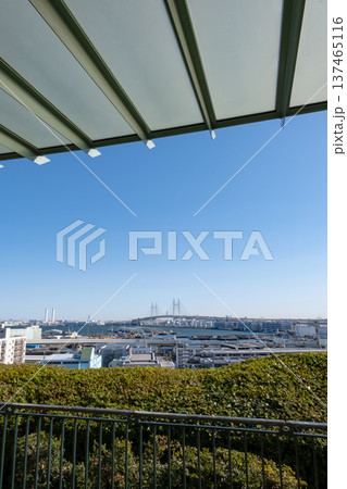 港の見える丘公園からの風景 137465116