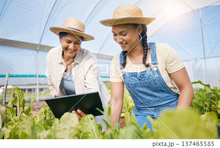 Teamwork, agriculture and women with a tablet in a greenhouse for plants and sustainability. Happy people with technology together on farm for eco growth, agro business or quality control app Teamwork, agriculture and women with a tablet in a greenhouse for plants and sustainability. Happy people with technology together on farm for eco growth, agro business or quality control app 137465585