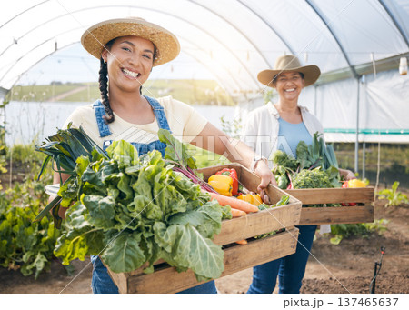 Agriculture, teamwork and vegetable farming in a greenhouse for sustainability. Portrait of farmer people or women together on a farm for eco lifestyle, agro startup or organic food for wellness Agriculture, teamwork and vegetable farming in a greenhouse for sustainability. Portrait of farmer people or women together on a farm for eco lifestyle, agro startup or organic food for wellness 137465637
