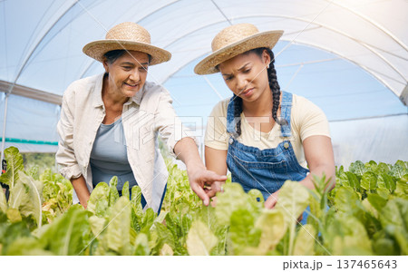 Farming, agriculture and women talking of plants in greenhouse for sustainability. Farmer people working together for eco lifestyle, agro startup or organic food, vegetable or lettuce for wellness 137465643