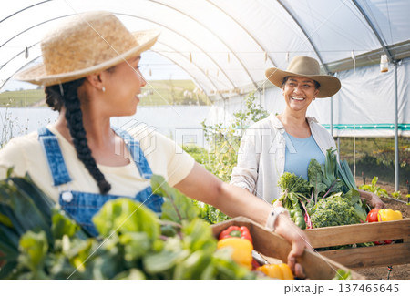 Farming, agriculture and women with vegetables and teamwork in a greenhouse for sustainability. Happy people working together on a farm for eco lifestyle, agro startup or organic food for wellness 137465645