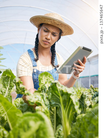 Farmer, thinking and tablet for greenhouse plants, growth inspection and vegetables development in agriculture. Young woman farming, quality assurance and digital tech for food or gardening progress Farmer, thinking and tablet for greenhouse plants, growth inspection and vegetables development in agriculture. Young woman farming, quality assurance and digital tech for food or gardening progress 137465647