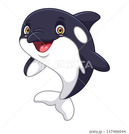 Cartoon killer whale on white background Cartoon killer whale on white background 137466044