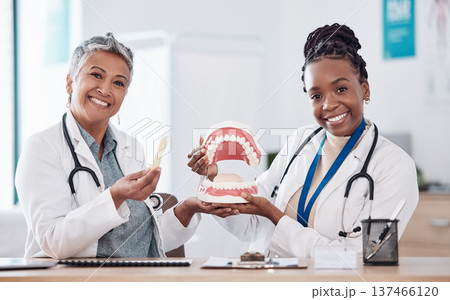 Dentures, healthcare team or portrait of dentist for dental wellness, teeth whitening or oral care. Happy, medical clinic or orthodontist smile with mold for mouth hygiene, tooth or mouth cleaning 137466120