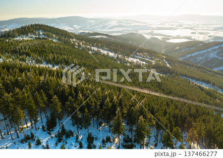 Sky Bridge 721 suspension bridge in Dolni Morava, Czech Republic, surrounded by forest in winter. Sky Bridge 721 suspension bridge in Dolni Morava, Czech Republic, surrounded by forest in winter. 137466277