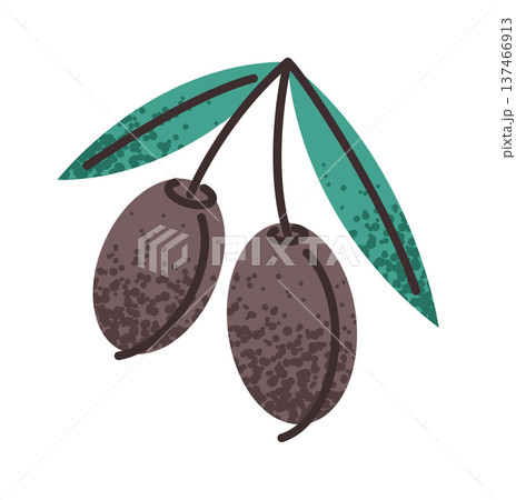 Traditional Greek olive bunch element Traditional Greek olive bunch element 137466913