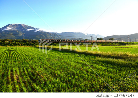 秋空の下、伊吹山を背景に走るJR東海313系電車 秋空の下、伊吹山を背景に走るJR東海313系電車 137467147