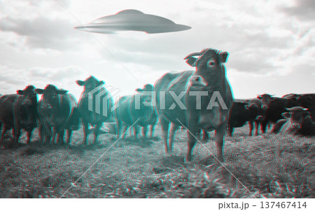 Alien, spaceship and UFO with cow on farm for fantasy, science fiction and space invasion. Extraterrestrial, countryside and flying saucer beam on cattle ranch for discovery, abduction and mystery Alien, spaceship and UFO with cow on farm for fantasy, science fiction and space invasion. Extraterrestrial, countryside and flying saucer beam on cattle ranch for discovery, abduction and mystery 137467414