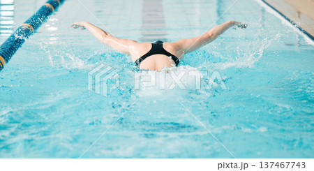 Fitness, swimming pool and woman athlete training for a race, competition or tournament. Sports, workout and back of female swimmer practicing a cardio water skill for exercise, speed or endurance. Fitness, swimming pool and woman athlete training for a race, competition or tournament. Sports, workout and back of female swimmer practicing a cardio water skill for exercise, speed or endurance. 137467743