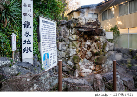 大分 別府・地獄めぐり(龍巻地獄) 大分 別府・地獄めぐり(龍巻地獄) 137468415