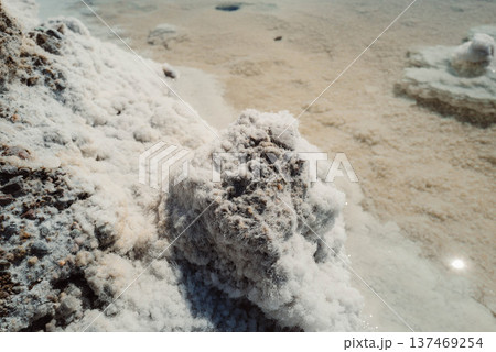 デスバレー#15 137469254