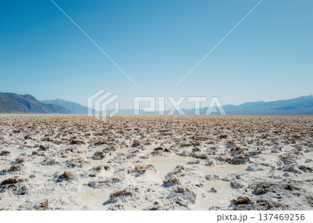 デスバレー#17 137469256