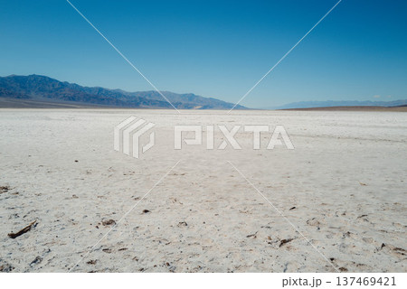 デスバレー#41 137469421