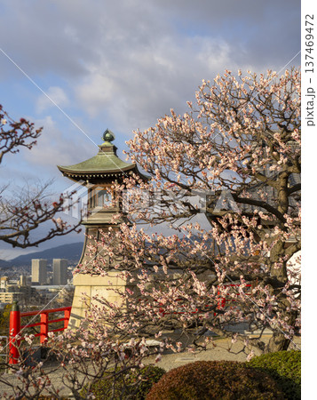 梅の花と常夜灯 梅の花と常夜灯 137469472